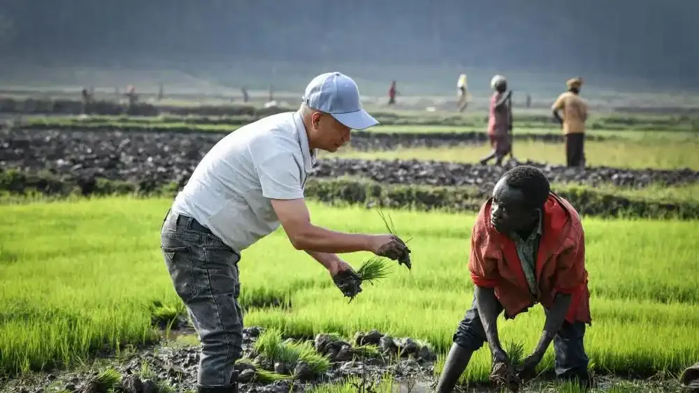 How Chinese Technology Helps Transform Agriculture in the Global South