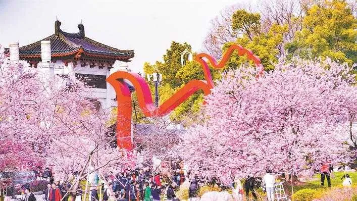 Planning a Trip to Wuhan for the Cherry Blossom Season?