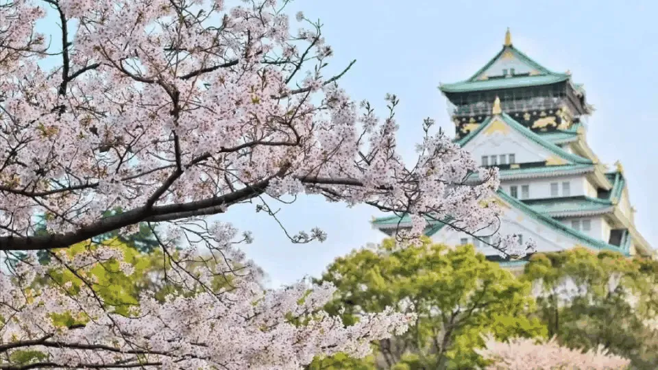 Strolling Through Scholarly Sanctuaries: Is a Trip to China's Most Beautiful University Campuses Worth It?