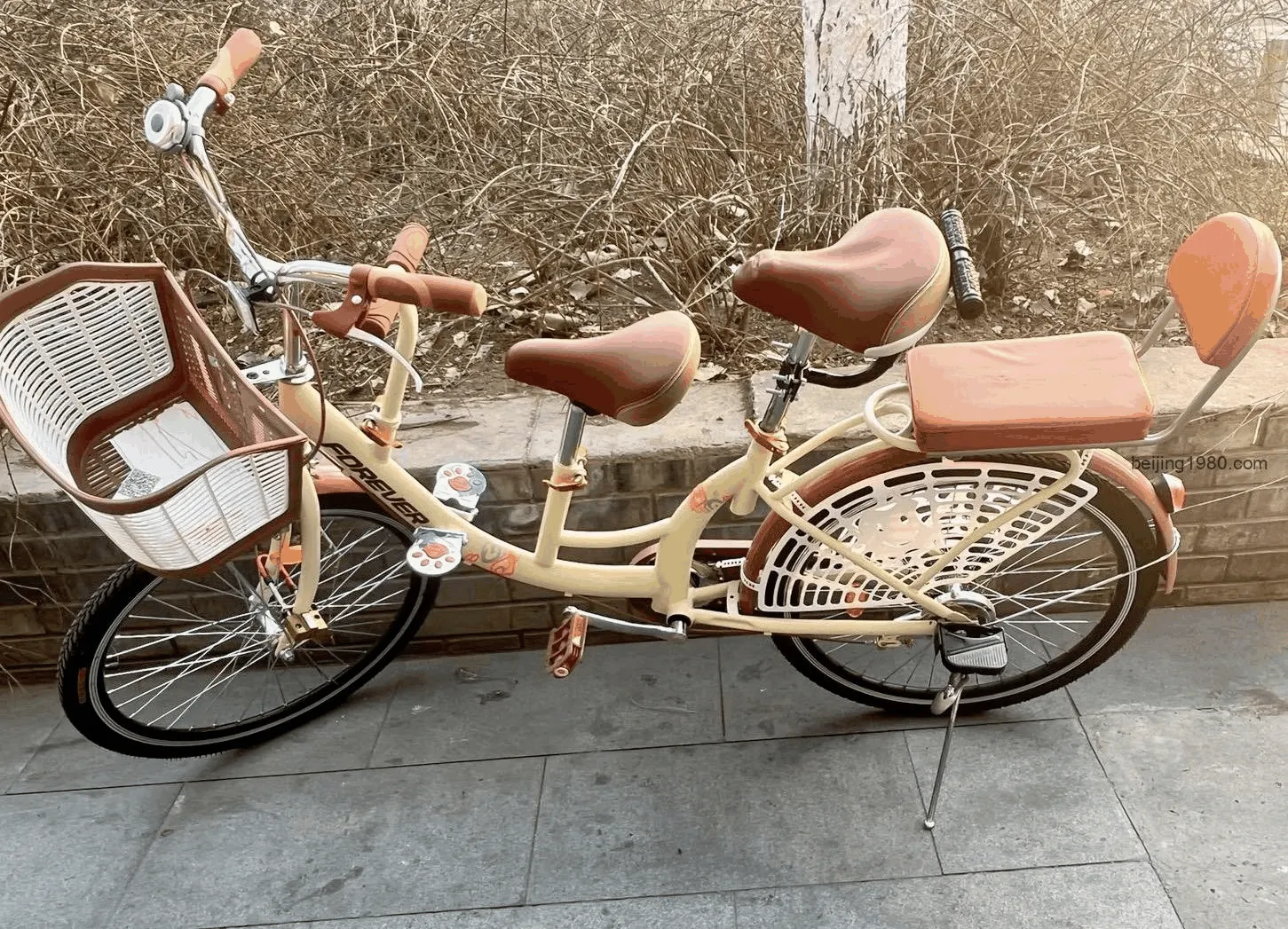 From the "Forever" Bicycle to the High-Speed Rail Era: How Has China Transformed Since the 1980s?