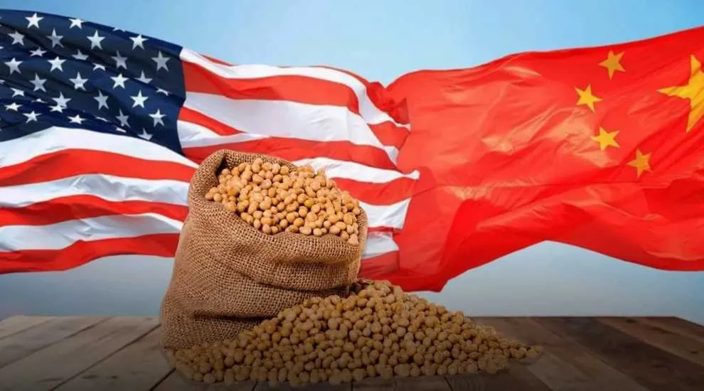 What Are the Secrets Behind China’s Soybean Cultivation and Global Trade?