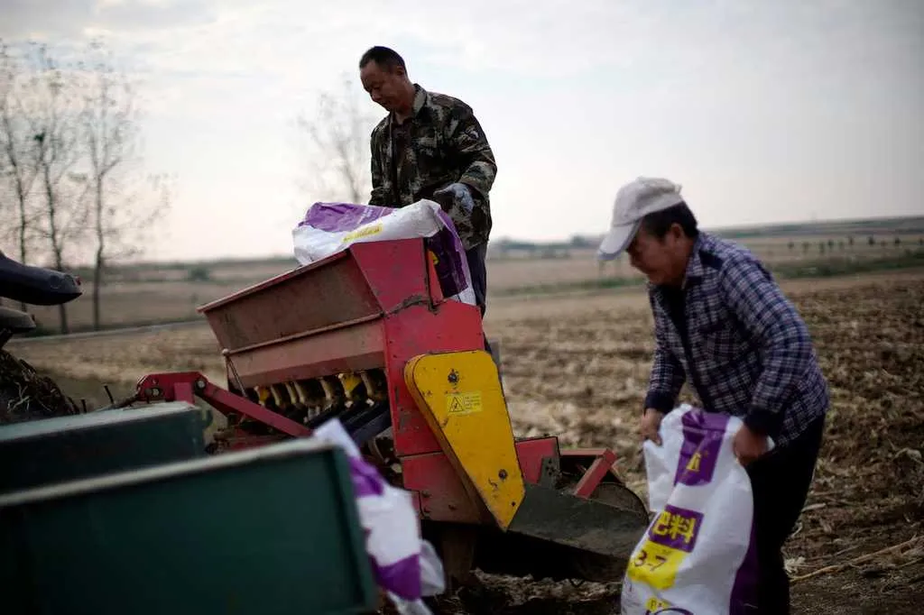 How Does China's Fertilizer Industry Support the World's Largest Farm Market?